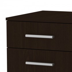 Wheeled chest of drawers Luke pakoworld wenge 40x48.5x53.5cm