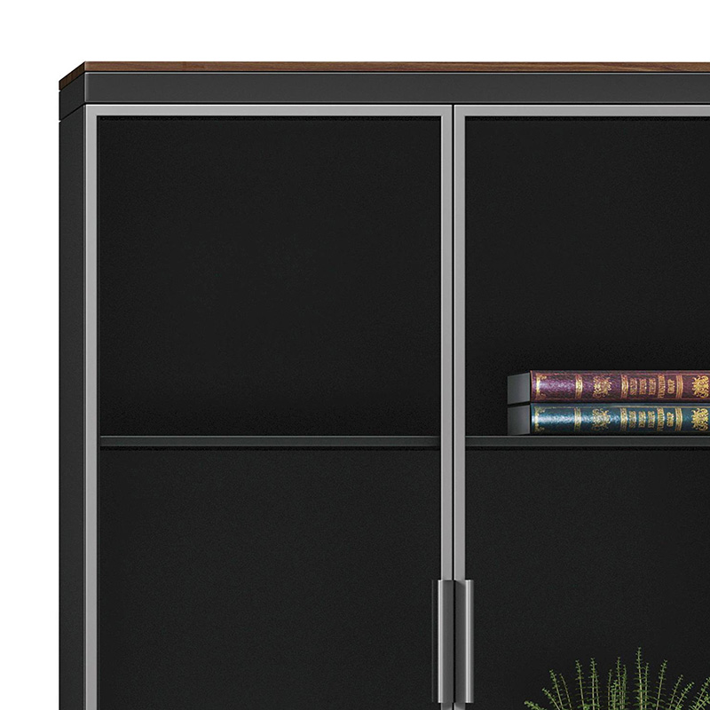 Bookcase Oscar pakoworld with doors by glass walnut-anhracite color 80x40x200cm