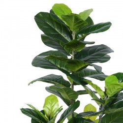 Διακοσμητικό φυτό Fiddlehead σε γλάστρα Inart πράσινο pp Υ120εκ