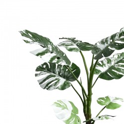 Διακοσμητικό φυτό σε γλάστρα Monstera II Inart πράσινο pp Υ132εκ