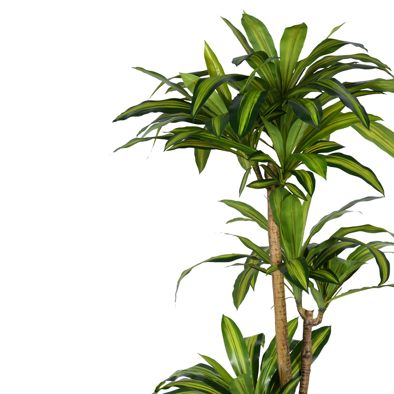 Decorative plant Dracaena I in a pot Inart green pp H170cm