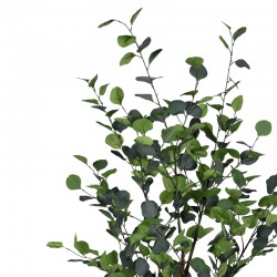 Decorative plant Eucalyptus I in a pot Inart green pp H150cm