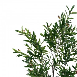 Decorative plant Olive tree I in a pot Inart green pp H150cm