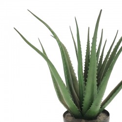 Διακοσμητικό φυτό Aloe σε γλάστρα Inart πράσινο pp Υ51εκ