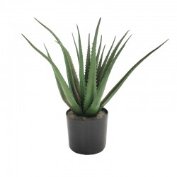 Aloe decorative plant in a pot Inart green pp H51cm