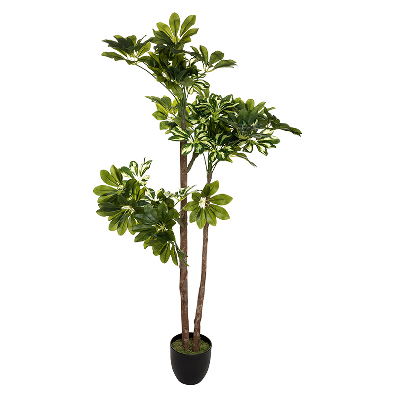 Potted plant Green6 pakoworld 70x65x135cm